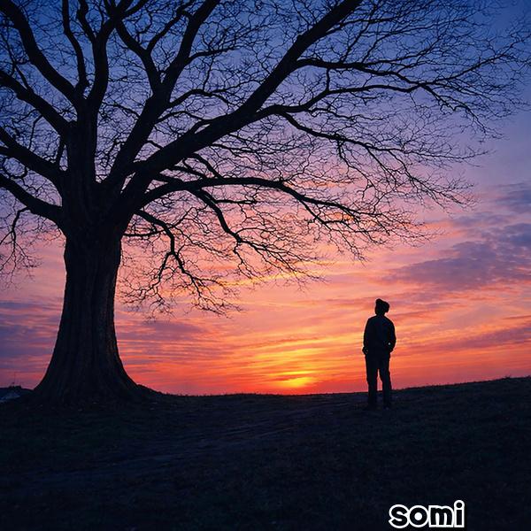 Image Cover